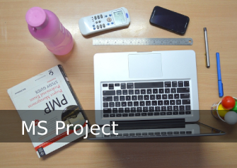 ms project